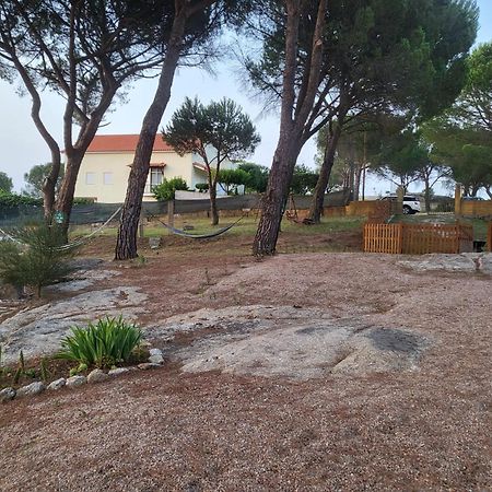 Casas De Campo Villa D'Almeida Travancinha Bagian luar foto